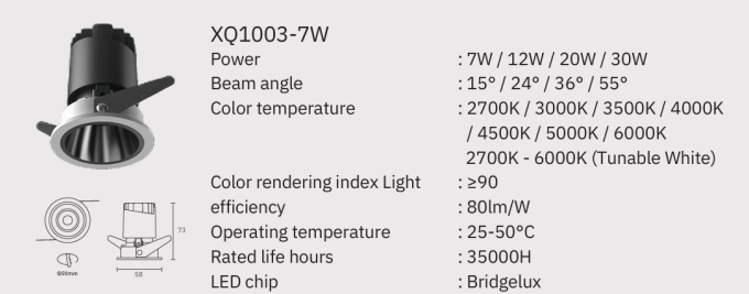 Downlight Valo
