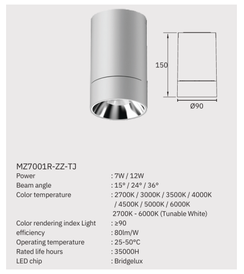 Downlight VALO X